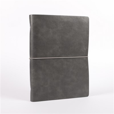 Suasmenintas odinis dienoraštis